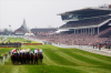 HORSE RACING: Top Tips from the Press for Day 1 of Cheltenham 2016