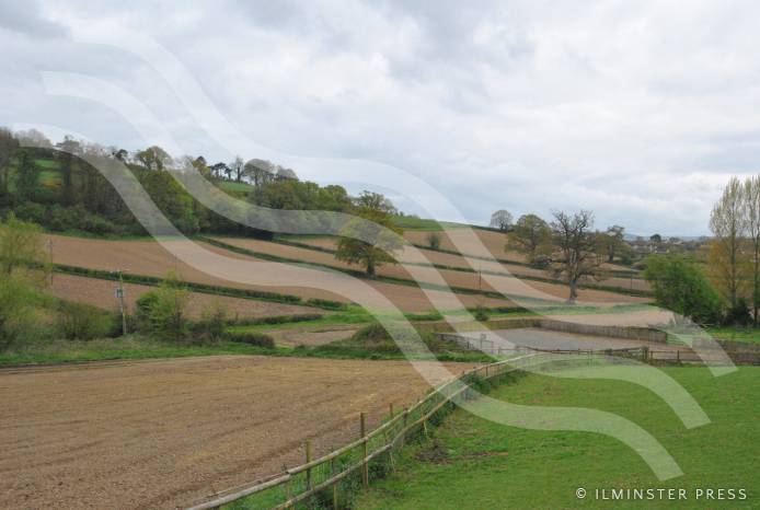 ILMINSTER NEWS: Three cheers for the Save Shudrick Valley Group Photo 3
