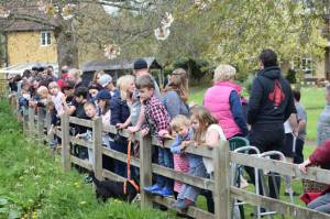 Carnival Duck Race Part 1 – April 2017: The annual South Petherton Carnival duck race proved another successful event in South Petherton. Photo 1