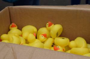 Carnival Duck Race Part 1 – April 2017: The annual South Petherton Carnival duck race proved another successful event in South Petherton. Photo 16