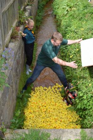 Carnival Duck Race Part 2 – April 2017: The annual South Petherton Carnival duck race proved another successful event in South Petherton. Photo 10