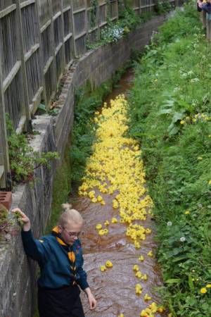 Carnival Duck Race Part 2 – April 2017: The annual South Petherton Carnival duck race proved another successful event in South Petherton. Photo 13