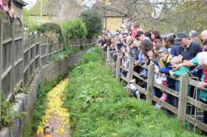 Carnival Duck Race Part 2 – April 2017: The annual South Petherton Carnival duck race proved another successful event in South Petherton. Photo 15