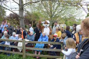 Carnival Duck Race Part 2 – April 2017: The annual South Petherton Carnival duck race proved another successful event in South Petherton. Photo 2