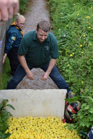 Carnival Duck Race Part 2 – April 2017: The annual South Petherton Carnival duck race proved another successful event in South Petherton. Photo 5
