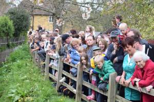 Carnival Duck Race Part 2 – April 2017: The annual South Petherton Carnival duck race proved another successful event in South Petherton. Photo 7