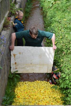 Carnival Duck Race Part 2 – April 2017: The annual South Petherton Carnival duck race proved another successful event in South Petherton. Photo 9