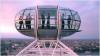 COACH TRIP: Day out on the London Eye and Thames River Cruise Photo 2