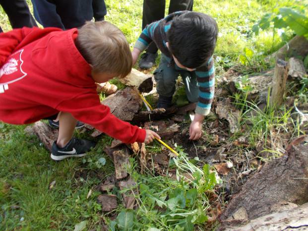 SCHOOL NEWS: Outdoors for learning numbers Photo 2