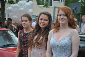 Holyrood Academy Celebration Day Part 1 – June 2017: Year 11 students from Holyrood Academy in Chard enjoyed the annual Celebration Day at school on June 30, 2017. Photo 18