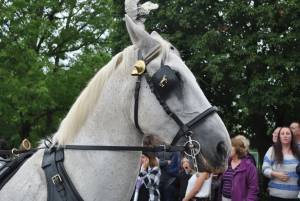 Holyrood Academy Celebration Day Part 4 – June 2017: Year 11 students from Holyrood Academy in Chard enjoyed the annual Celebration Day at school on June 30, 2017. Photo 15