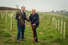 ILMINSTER AREA NEWS: New trees at Dillington Estate will help with flood prevention