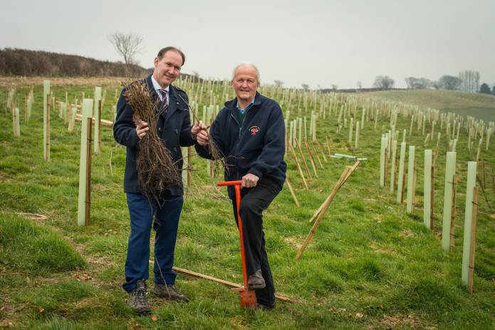 ILMINSTER AREA NEWS: New trees at Dillington Estate will help with flood prevention
