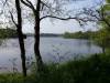SOUTH SOMERSET NEWS: Country parks gain Green Flag quality recognition Photo 5