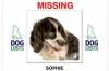 SOMERSET NEWS: Have you seen Sophie – missing since August 15?
