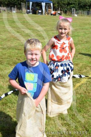 LEISURE: Fantastic country fete raises more than £8,000 Photo 3