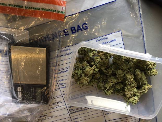 ILMINSTER NEWS: Cannabis and £5k in cash seized in drugs raid