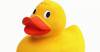 CARNIVAL: Duck Race in South Petherton