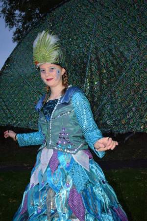 Ilminster Carnival Part 2 – October 7, 2017: A fantastic night of entertainment was provided by all those who took part in the annual Ilminster Carnival. Photo 5