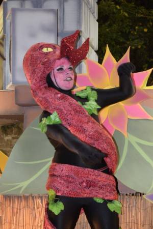 Ilminster Carnival Part 5 – October 7, 2017: A fantastic night of entertainment was provided by all those who took part in the annual Ilminster Carnival. Photo 12