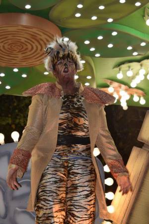 Ilminster Carnival Part 5 – October 7, 2017: A fantastic night of entertainment was provided by all those who took part in the annual Ilminster Carnival. Photo 13