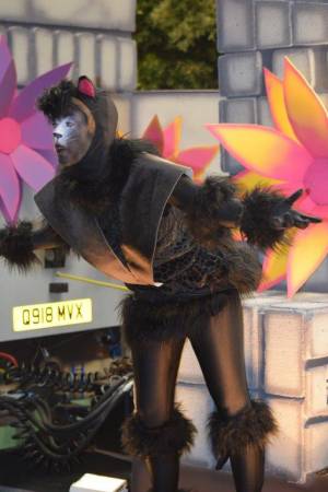 Ilminster Carnival Part 5 – October 7, 2017: A fantastic night of entertainment was provided by all those who took part in the annual Ilminster Carnival. Photo 15