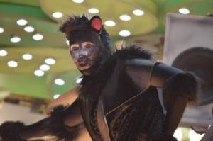 Ilminster Carnival Part 5 – October 7, 2017: A fantastic night of entertainment was provided by all those who took part in the annual Ilminster Carnival. Photo 4