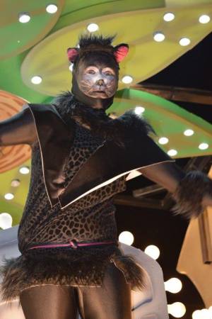 Ilminster Carnival Part 5 – October 7, 2017: A fantastic night of entertainment was provided by all those who took part in the annual Ilminster Carnival. Photo 7