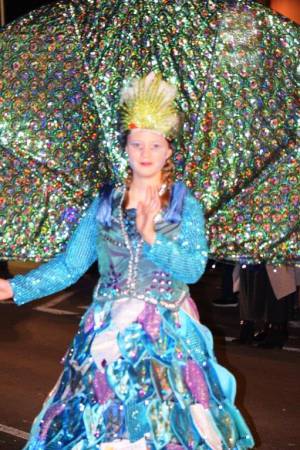 Ilminster Carnival Part 6 – October 7, 2017: A fantastic night of entertainment was provided by all those who took part in the annual Ilminster Carnival. Photo 19