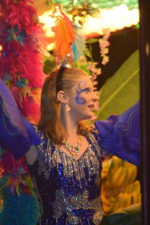 Ilminster Carnival Part 7 – October 7, 2017: A fantastic night of entertainment was provided by all those who took part in the annual Ilminster Carnival. Photo 11