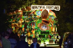 Ilminster Carnival Part 8 – October 7, 2017: A fantastic night of entertainment was provided by all those who took part in the annual Ilminster Carnival. Photo 1