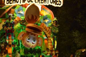 Ilminster Carnival Part 8 – October 7, 2017: A fantastic night of entertainment was provided by all those who took part in the annual Ilminster Carnival. Photo 2