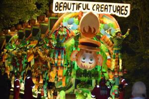 Ilminster Carnival Part 8 – October 7, 2017: A fantastic night of entertainment was provided by all those who took part in the annual Ilminster Carnival. Photo 6