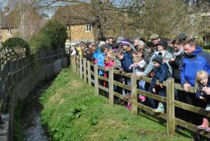 South Petherton Carnival Duck Race - March 27, 2016: Hundreds of plastic ducks were once again bought by people for the annual duck race in South Petherton. Photo 3