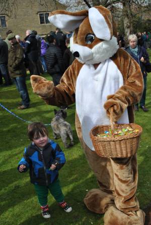 South Petherton Carnival Duck Race - March 27, 2016: Hundreds of plastic ducks were once again bought by people for the annual duck race in South Petherton. Photo 6