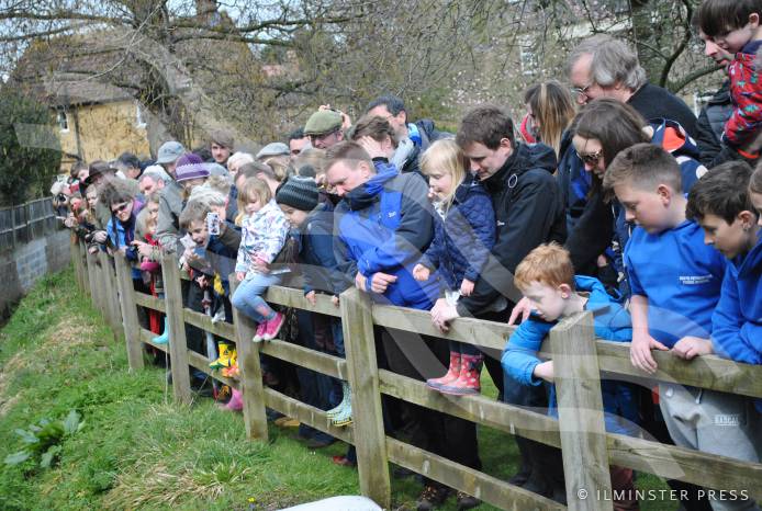CARNIVAL: Rain fails to dampen duck race fun enthusiasm