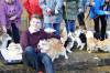 SOMERSET NEWS: Student highlights the plight of the Queen’s favourite – the loveable Corgi