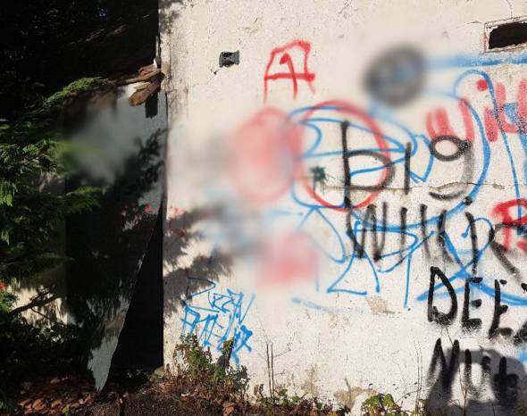 ILMINSTER NEWS: Police appeal for information about anti-Semitic graffiti