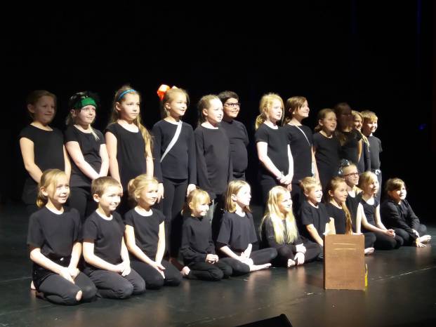 SCHOOL NEWS: Brushing up their Shakespeare at Greenfylde