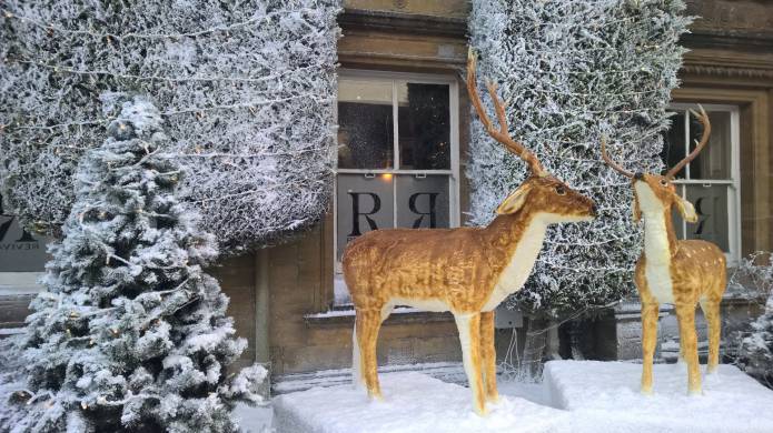 ILMINSTER NEWS: No police action over reindeer vandalism