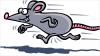 LEISURE: Squeak, squeak – mouse racing at the Archie Gooch Pavilion