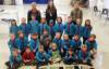 CLUBS AND SOCIETIES: Ilminster Beavers are planting for space!