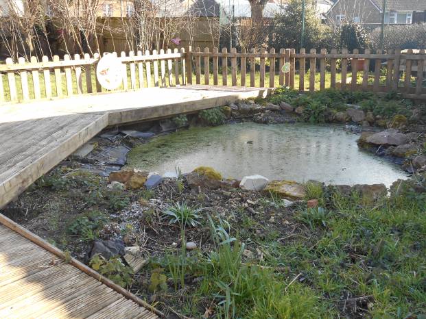 SCHOOL NEWS: Greenfylde receives its Wessex Watermark Award Photo 1