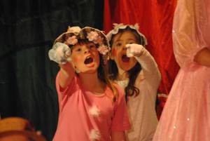 Wonderful Wizard of Oz Part 2 – May 2016: The Youth Group of the Broadway Amateur Theatrical Society perform the Wonderful Wizard of Oz at the Broadway Village Hall. Photo 16