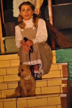 Wonderful Wizard of Oz Part 2 – May 2016: The Youth Group of the Broadway Amateur Theatrical Society perform the Wonderful Wizard of Oz at the Broadway Village Hall. Photo 3