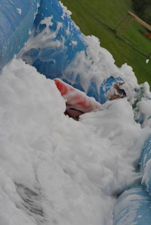 Ilminster Town FC fun day Part 8 – July 9, 2016: A giant water slide was the star attraction at a family fun day held to celebrate Ilminster Town Football Club’s new Archie Gooch Pavilion headquarters in Britten’s Field. Photo 23
