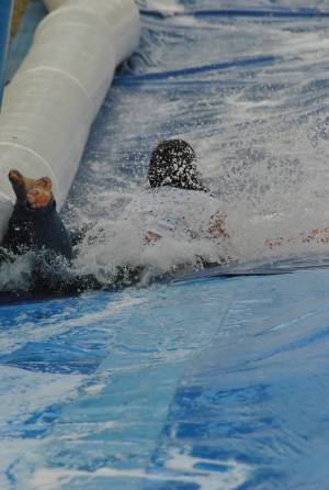 Ilminster Town FC fun day Part 8 – July 9, 2016: A giant water slide was the star attraction at a family fun day held to celebrate Ilminster Town Football Club’s new Archie Gooch Pavilion headquarters in Britten’s Field. Photo 30