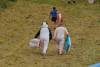 Ilminster Town FC fun day Part 14 – July 9, 2016: A giant water slide was the star attraction at a family fun day held to celebrate Ilminster Town Football Club’s new Archie Gooch Pavilion headquarters in Britten’s Field. Photo 2