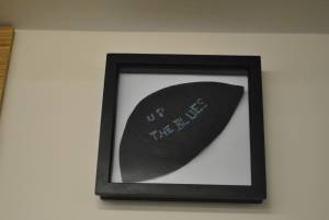 Archie Gooch Pavilion opening Part 1 - July 15, 2016: The new Archie Gooch Pavilion facilities in Ilminster were officially opened. Photo 17