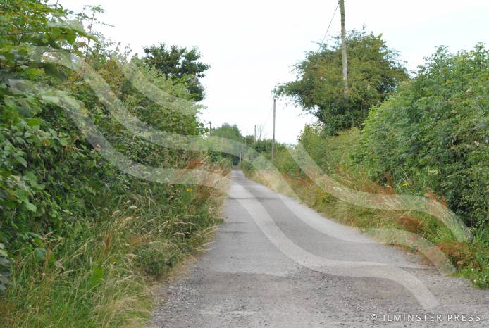 ILMINSTER NEWS: Bumpy Lane is an OFFICIAL public foopath Photo 1